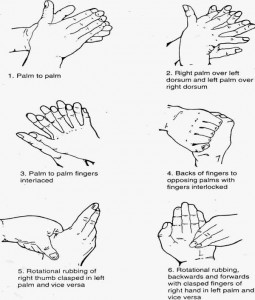 The Six Steps method of hand washing by WHO