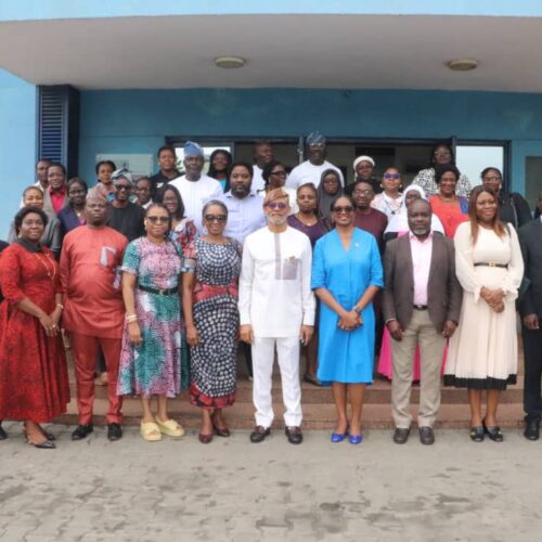 Gates Foundation Study offers guidelines for Transforming Healthcare in Lagos State