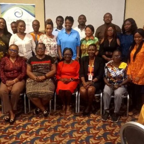 Champion maternal health through multiple micronutrient supplementation advocacy, FHI 360 urges media