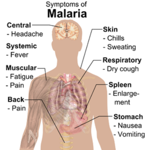 Malaria to kill 300,000 more if critical funding not received 